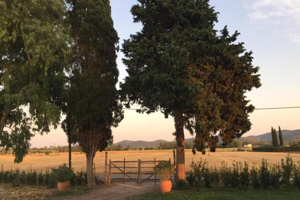 Azienda Agricola Maremma Bio Marsiliana Exterior foto